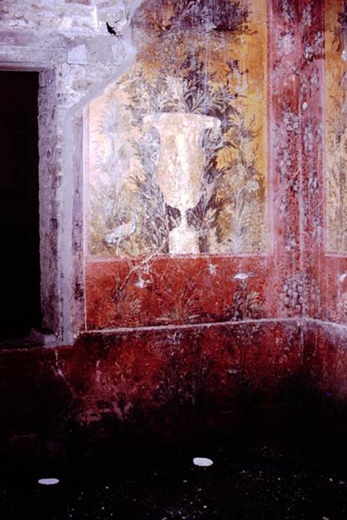 Oplontis, 1976. Room 68, wall with garden painting in south-west corner. Photo by Stanley A. Jashemski.   
Source: The Wilhelmina and Stanley A. Jashemski archive in the University of Maryland Library, Special Collections (See collection page) and made available under the Creative Commons Attribution-Non Commercial License v.4. See Licence and use details. J76f0414
