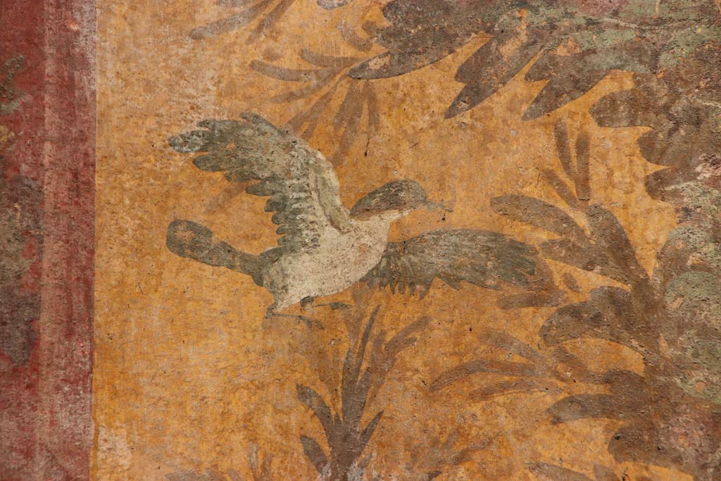 Oplontis Villa of Poppea, September 2021.  
Room 70, detail of peacock from north wall in north-west corner. Photo courtesy of Klaus Heese.


