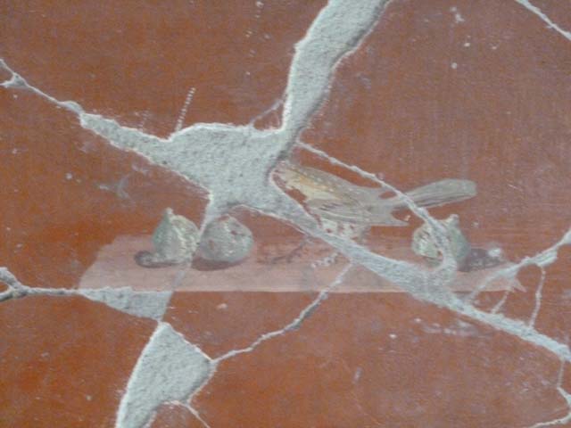 Oplontis, September 2015. Room 81, remains of painted bird with fruit from north wall.