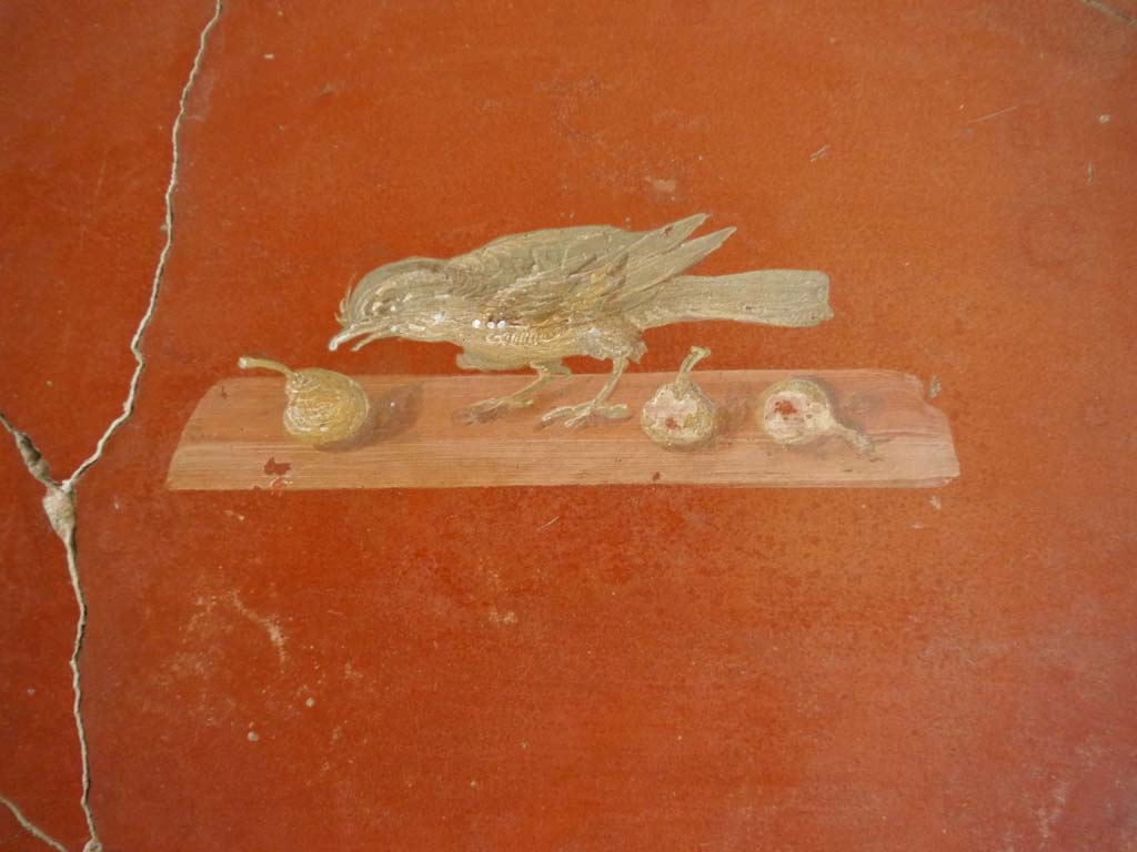 Oplontis, September 2015. Room 81, painted panel of bird pecking at fruit from north wall.