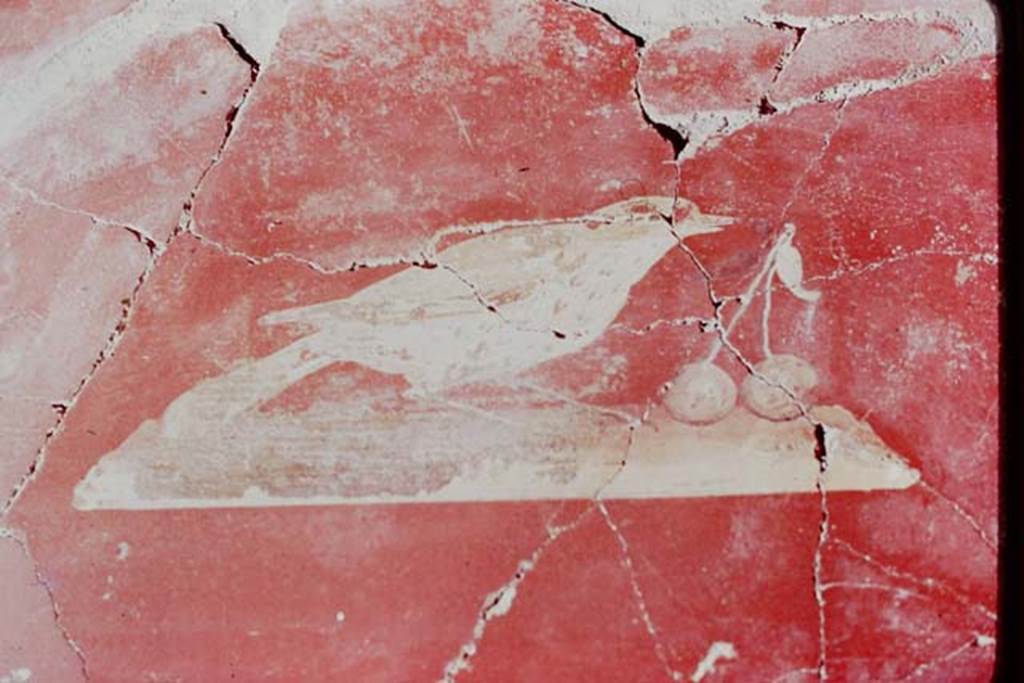 Oplontis, September 2015. Room 81, remains of painted decoration, possibly a deer or goat.