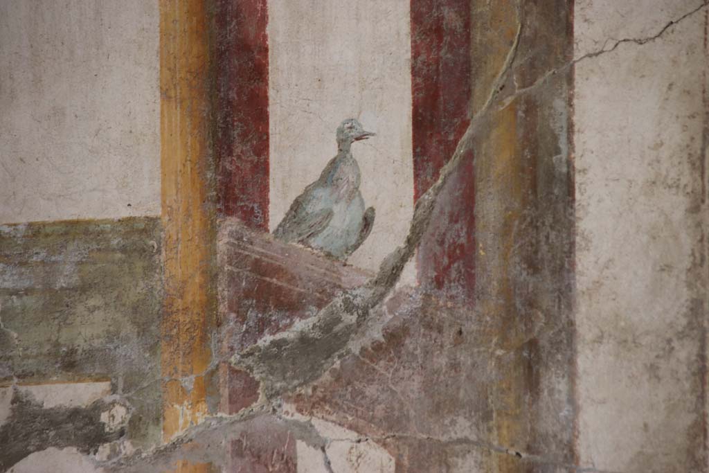 Oplontis, September 2015. Room 81, detail from panel on south wall.

 
