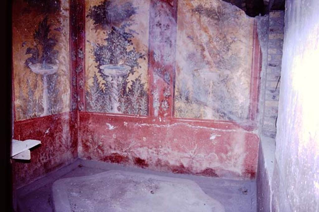 Oplontis, May 2010. Room 87, looking towards the north-east corner. Photo courtesy of Buzz Ferebee.
