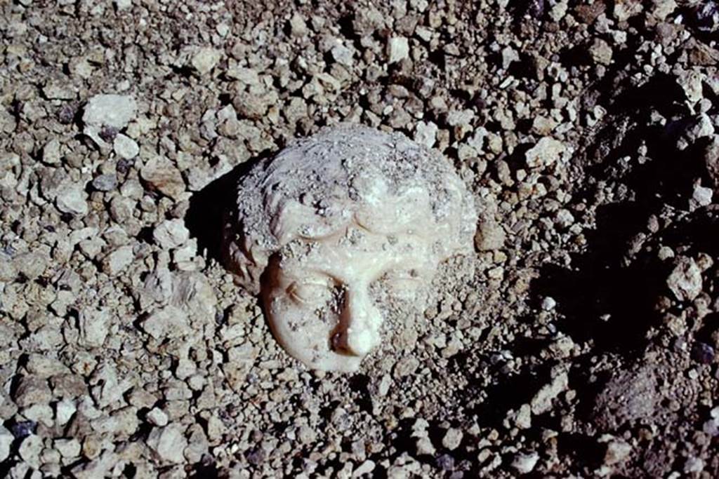 Oplontis, 1975. Marble head emerging from lapilli. Photo by Stanley A. Jashemski.   
Source: The Wilhelmina and Stanley A. Jashemski archive in the University of Maryland Library, Special Collections (See collection page) and made available under the Creative Commons Attribution-Non Commercial License v.4. See Licence and use details. J74f0900
According to Wilhelmina  “There was great excitement when early in the morning a beautiful head of a woman sculptured from Greek marble came into view, then a marble shaft.”
