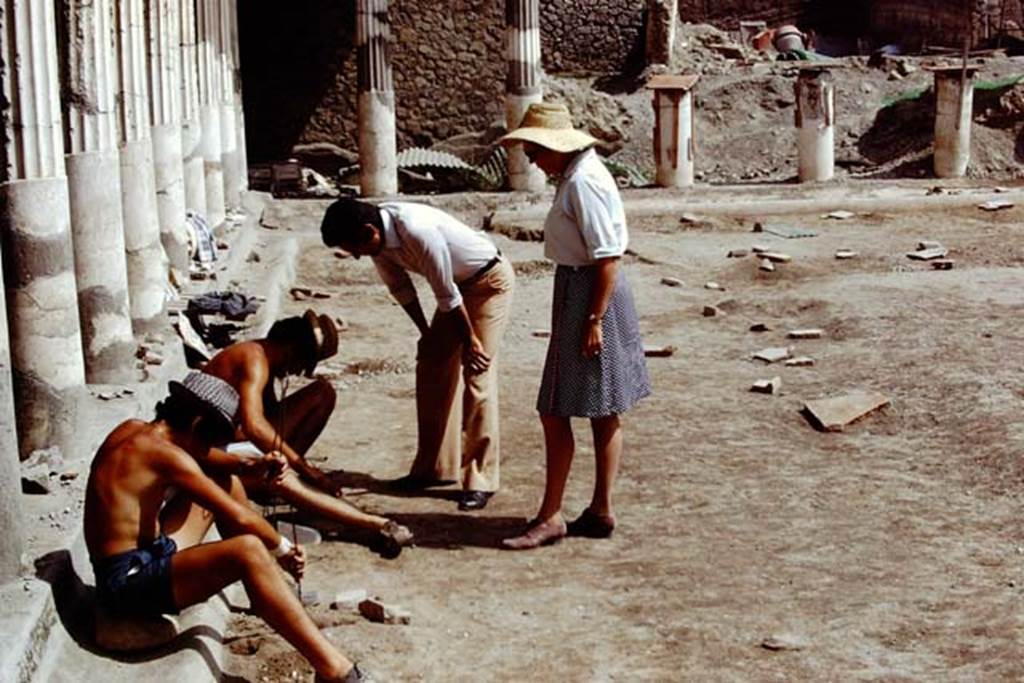 Oplontis, 1975. Cleaning out the root cavities in the south-east peristyle, area 59. Looking north along the west side. Photo by Stanley A. Jashemski.   
Source: The Wilhelmina and Stanley A. Jashemski archive in the University of Maryland Library, Special Collections (See collection page) and made available under the Creative Commons Attribution-Non Commercial License v.4. See Licence and use details. J75f0181
