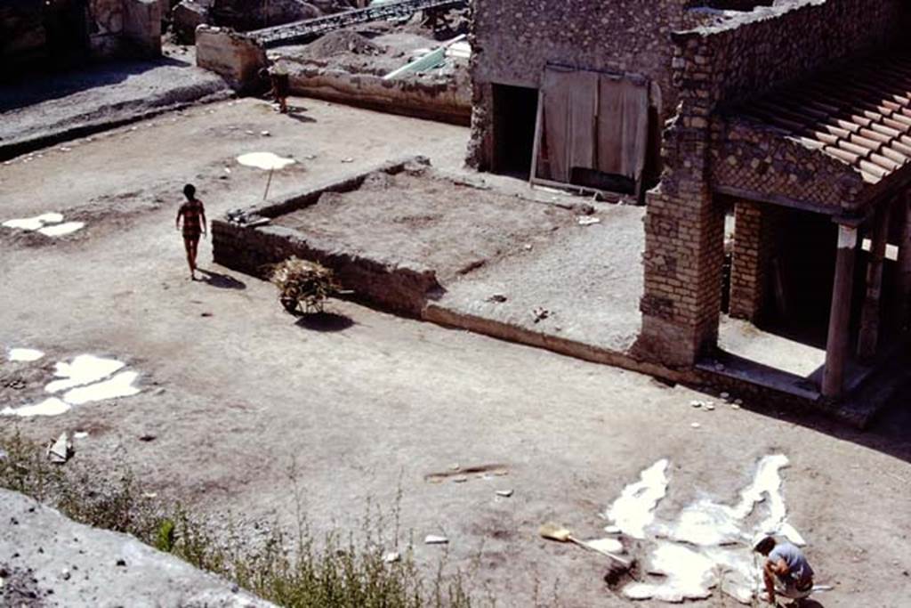 Oplontis, 1975. Looking south-east across east end of north garden towards area of room 58, and painted plaster covered up on exterior wall of room 55, and with large strange root cutting from previous year, on right. Photo by Stanley A. Jashemski.   
Source: The Wilhelmina and Stanley A. Jashemski archive in the University of Maryland Library, Special Collections (See collection page) and made available under the Creative Commons Attribution-Non Commercial License v.4. See Licence and use details. J75f0392

