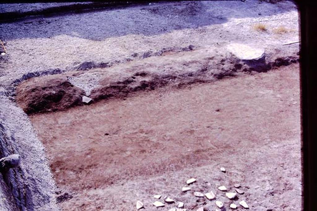 Oplontis, 1977. Area 56, looking east in north-east corner. The area has now been cleaned back to the original level, and a group of root-cavities found, lower part of photo.  In the top-right of the photo is the white painted filled root-cavity of the fourth of the line of large trees. In the top-left of the photo, another root-cavity of a large tree has been discovered, still filled with its lapilli.  Photo by Stanley A. Jashemski.   
Source: The Wilhelmina and Stanley A. Jashemski archive in the University of Maryland Library, Special Collections (See collection page) and made available under the Creative Commons Attribution-Non Commercial License v.4. See Licence and use details. J77f0187
