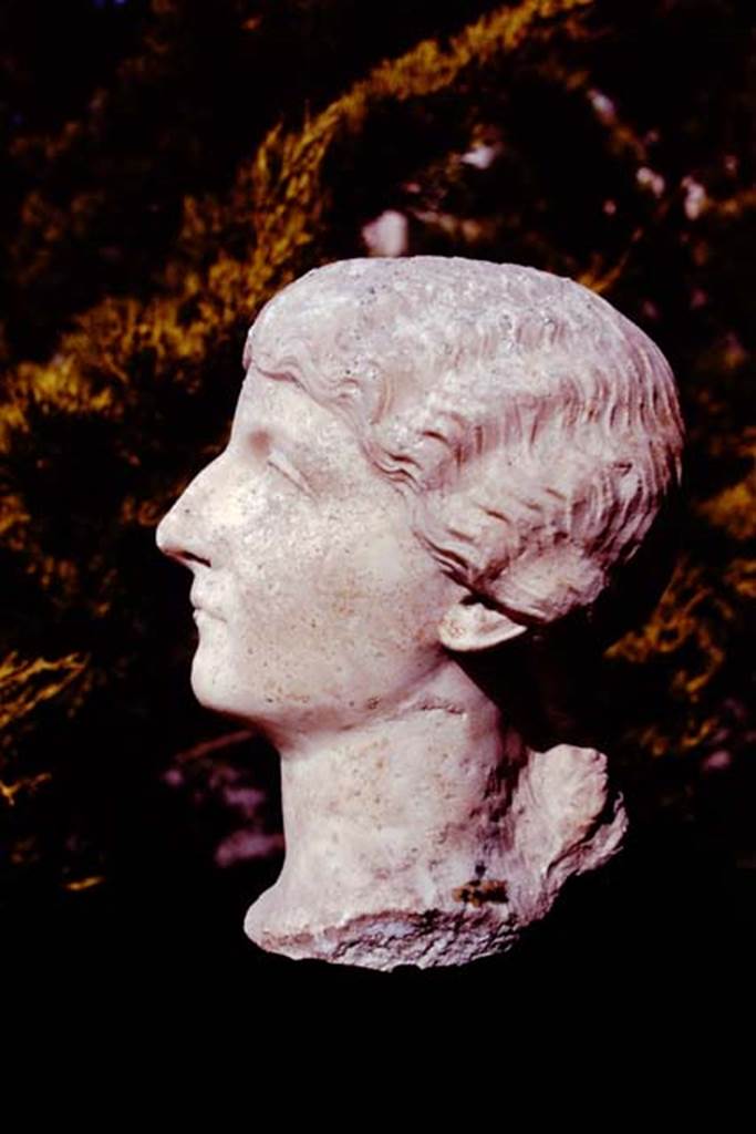 Oplontis, 1978. Marble portrait head of a woman found along the passageway. 
Photo by Stanley A. Jashemski.   
Source: The Wilhelmina and Stanley A. Jashemski archive in the University of Maryland Library, Special Collections (See collection page) and made available under the Creative Commons Attribution-Non Commercial License v.4. See Licence and use details. J78f0465
