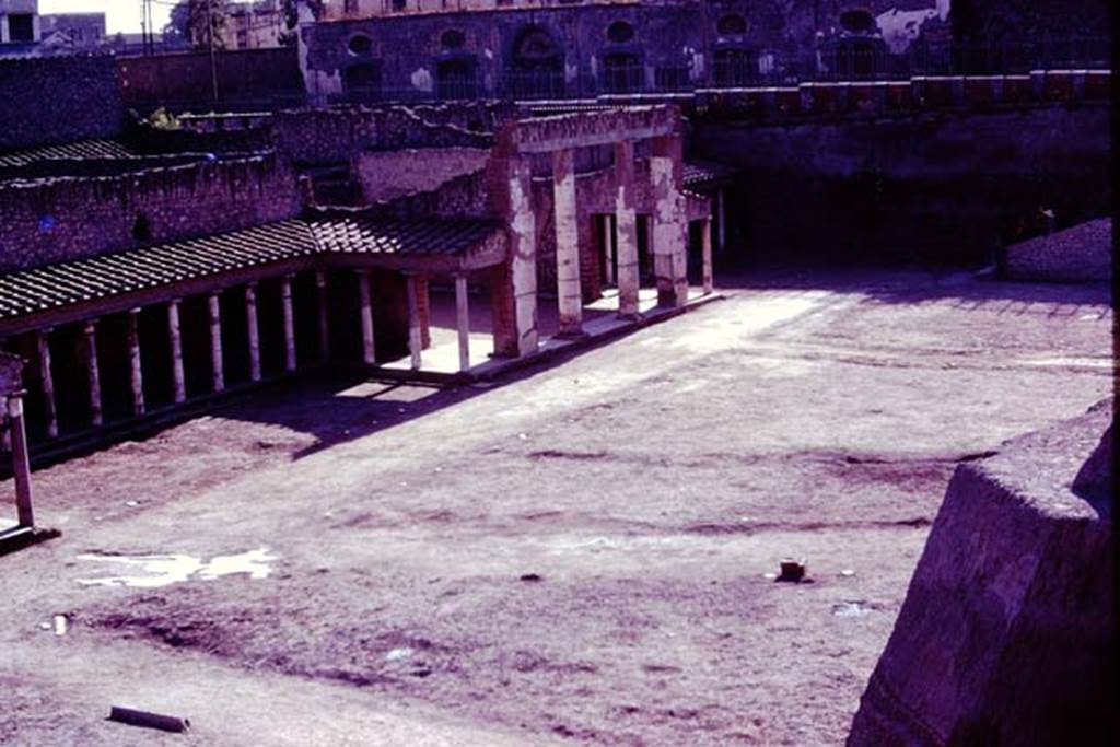 Oplontis, 1977. Looking west across rear north garden, showing shape of pathways and white painted filled root-cavities. Photo by Stanley A. Jashemski.   
Source: The Wilhelmina and Stanley A. Jashemski archive in the University of Maryland Library, Special Collections (See collection page) and made available under the Creative Commons Attribution-Non Commercial License v.4. See Licence and use details. J77f0398
