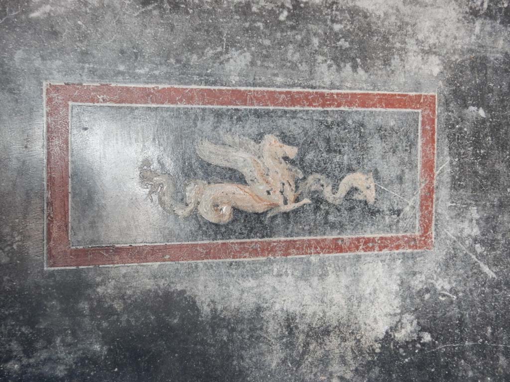 Stabiae, Secondo Complesso, June 2019. Room 15, detail of panel on south wall. Photo courtesy of Buzz Ferebee.