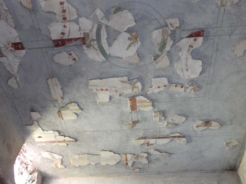 Stabiae, Secondo Complesso, June 2019. Room 19, reconstructed ceiling. Photo courtesy of Buzz Ferebee.