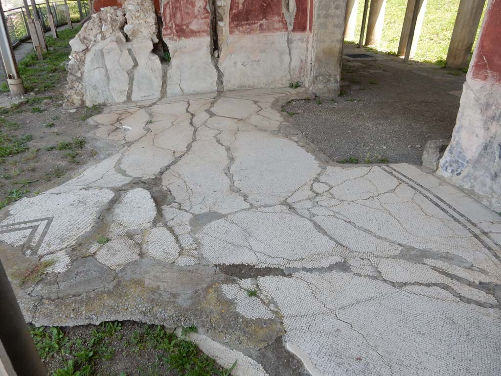 Stabiae, Secondo Complesso, June 2019. Room 12, looking east across flooring, with doorway to room 1, peristyle, on right.
Photo courtesy of Buzz Ferebee.
