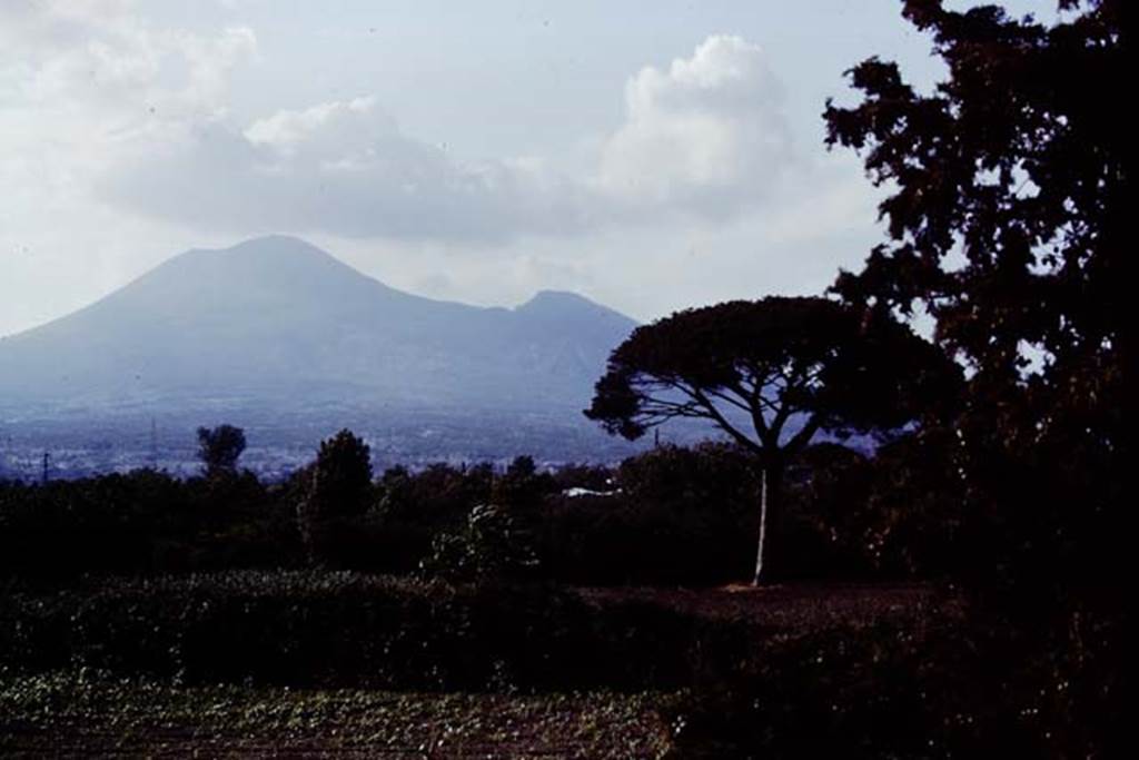 Vesuvius, 1978. Photo by Stanley A. Jashemski.   
Source: The Wilhelmina and Stanley A. Jashemski archive in the University of Maryland Library, Special Collections (See collection page) and made available under the Creative Commons Attribution-Non-commercial License v.4. See Licence and use details.
J78f0202
