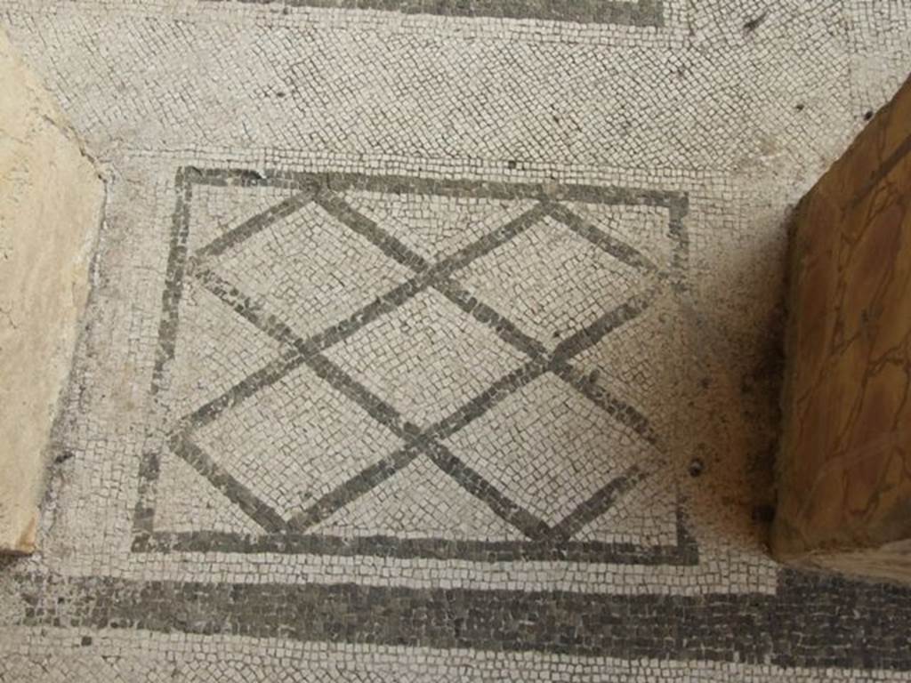 VI.9.2 Pompeii. December 2007. Room 24, Corinthian oecus, mosaic floor between columns.