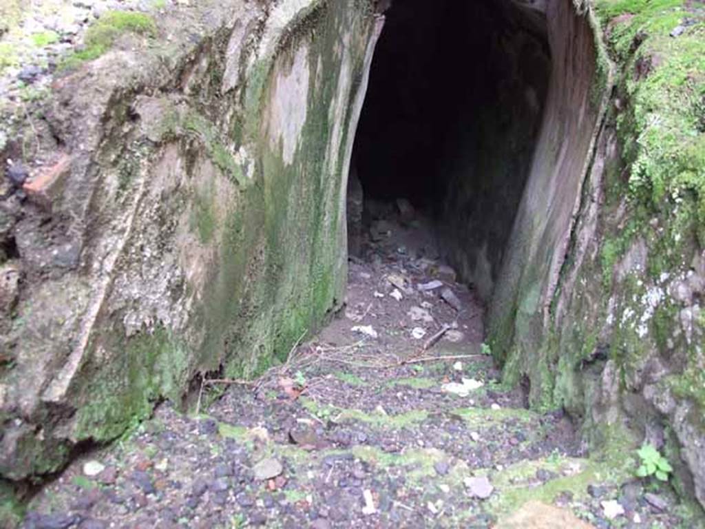 VI.9.2 Pompeii. May 2010. Stairs to cellar.