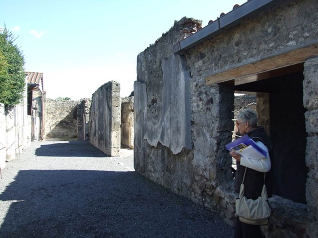 VI.9.2 Pompeii.  March 2009. Peristyle 16, south wall. Looking east.