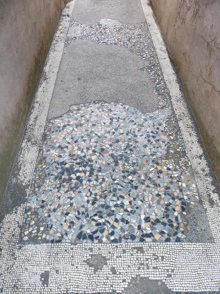 VI.12.2 Pompeii. September 2015. Detail of flooring in corridor, on east side of oecus/triclinium. Looking south.
