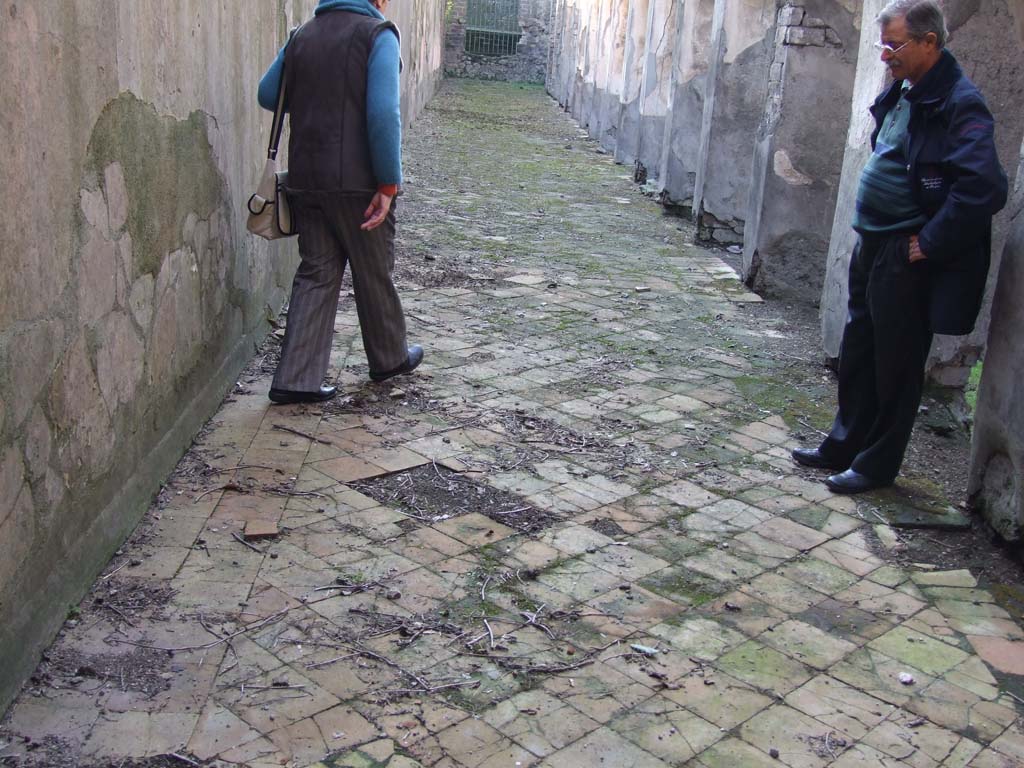 HGW24 Pompeii. December 2006. Original terracotta tile floor of portico. Looking west along south portico.