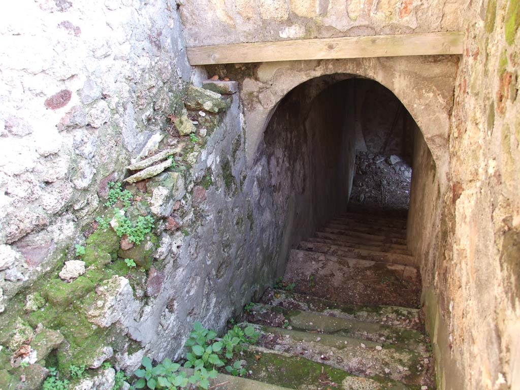 HGW24 Pompeii. December 2006. Looking south down stone staircase to lower cellar level. 
(Villa Diomedes Project – area to south of number 38).
(Fontaine, stairs to south of room 4,6)
At the base of the stairs in the cellar, no. 96 was found according to the plan of La Vega. 
PAH 1,1, p.279-80, 26th November 1774: addendum p.133 and p.160 (see no. 96 below, on the plan by La Vega). 
We continue to lift the earth from the said roadway, and in the rainy days we work in the cellar of the same dwelling, which cellar was entirely freed, and here we have found: Bronze, (for finds see pages 279-80).…. Glass: A square jug with a handle. 
All these things have been sent to the Museum, together with two pieces that are believed to be of bread, and some sods of earth with the impressions and remains of cloth nearly incinerated.
