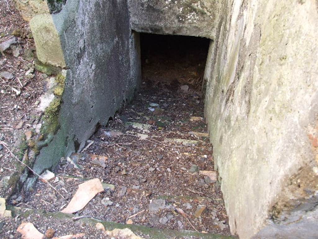 HGW24 Pompeii. December 2006. Looking south down stairs to cellar level. 