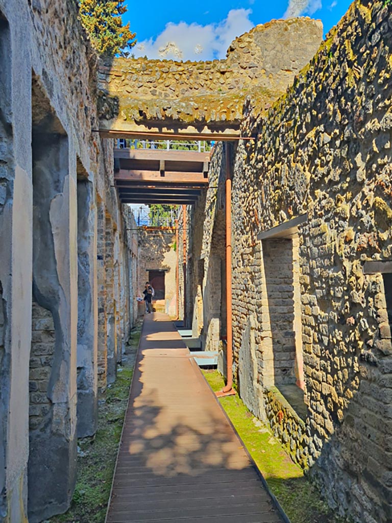 Villa of Diomedes, Pompeii. March 2024. Looking north along east portico. Photo courtesy of Giuseppe Ciaramella.