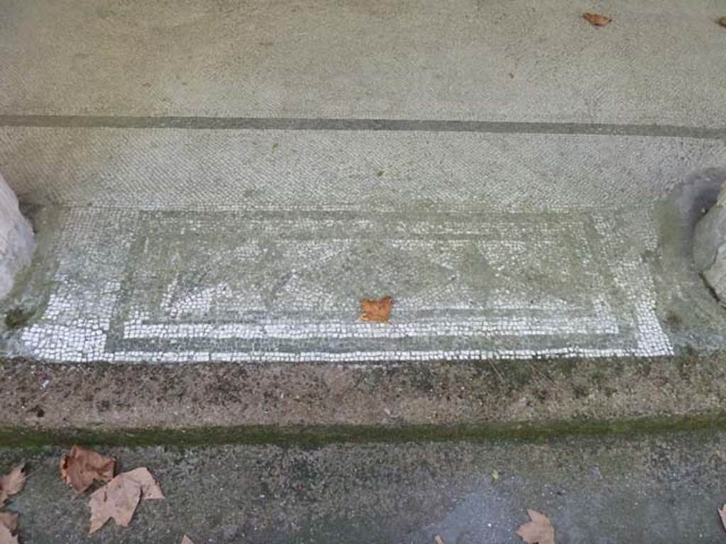 Villa San Marco, Stabiae, September 2015. Mosaic threshold between columns of west portico 3, number 3 of 11.