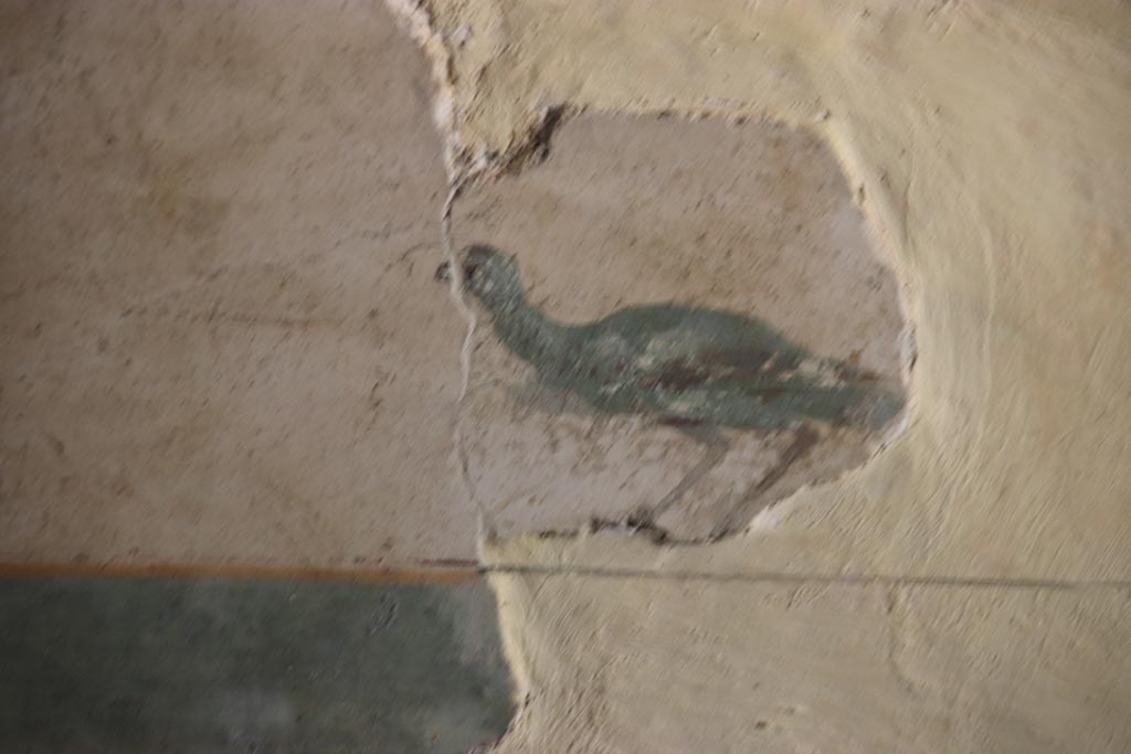 Villa San Marco, Stabiae, October 2022. Room 14, detail from recomposed ceiling. Photo courtesy of Klaus Heese.