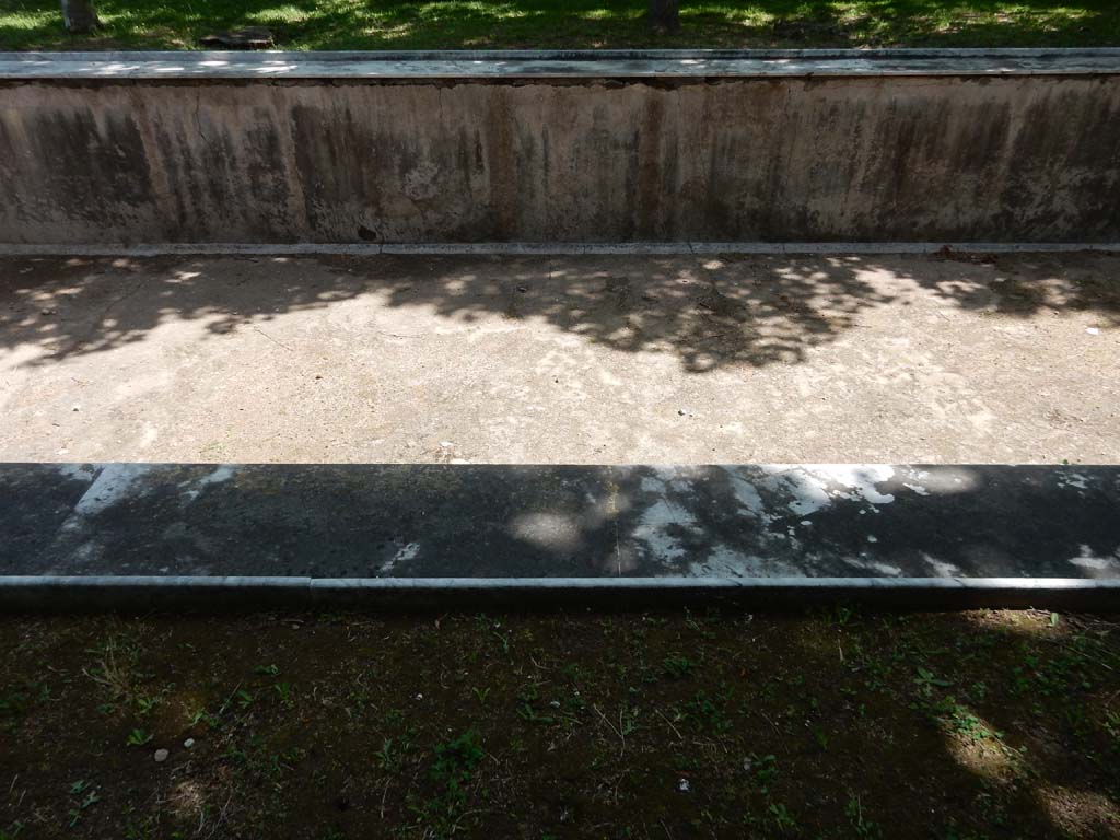 Villa San Marco, Stabiae, June 2019. Pool 15, looking east across pool. Photo courtesy of Buzz Ferebee