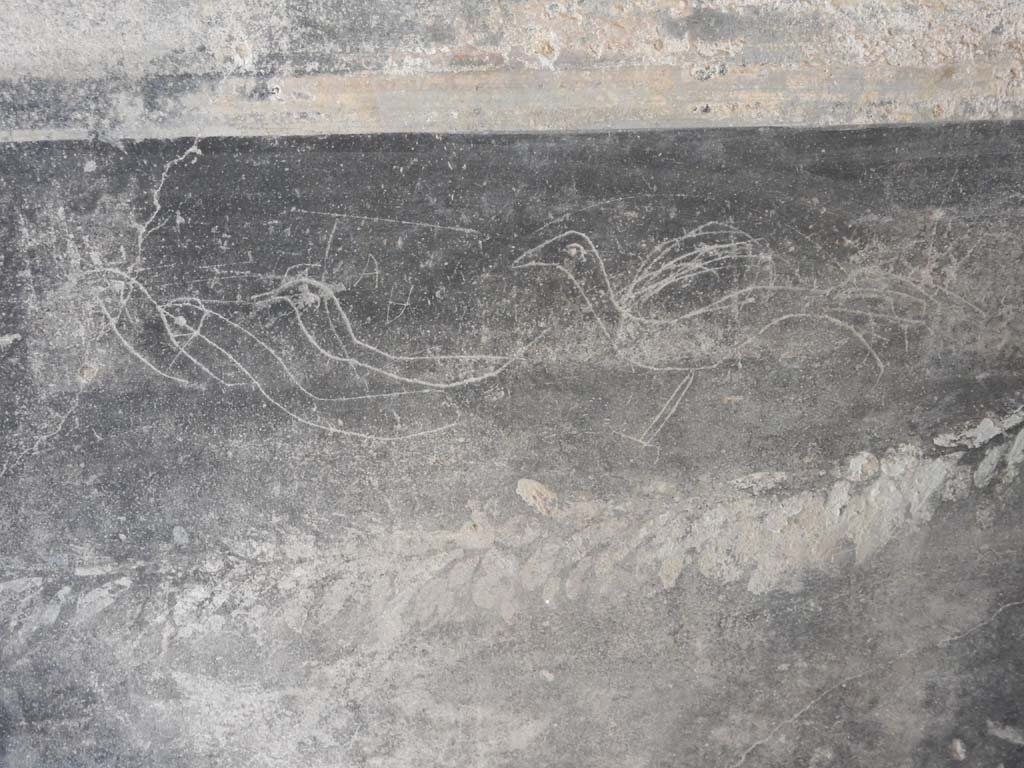 Villa San Marco, Stabiae, June 2019. Room 44, detail of graffiti towards top of black zoccolo.
Photo courtesy of Buzz Ferebee.
