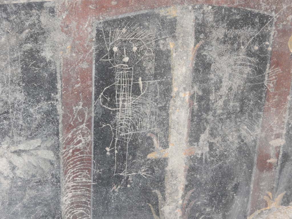 Villa San Marco, Stabiae, June 2019. Room 44, detail of graffiti. Photo courtesy of Buzz Ferebee.