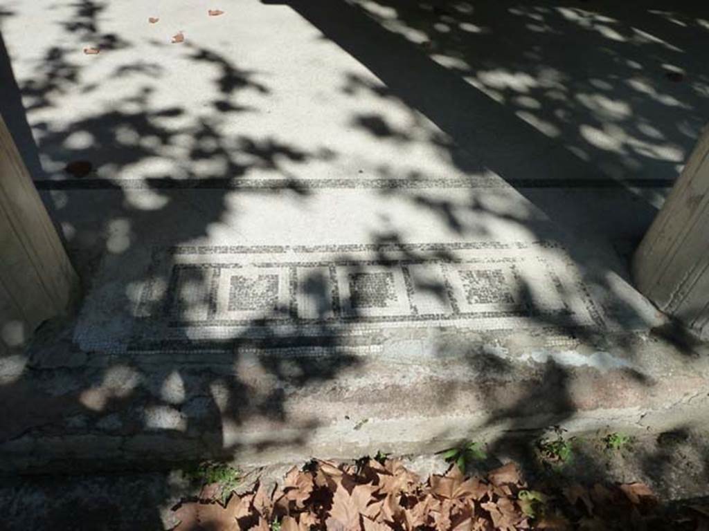 Villa San Marco, Stabiae, September 2015. Mosaic threshold between columns of east portico 20, number 3 of 11.