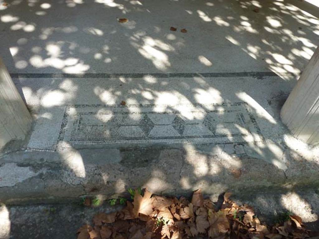 Villa San Marco, Stabiae, September 2015. Mosaic threshold between columns of east portico 20, number 4 of 11.