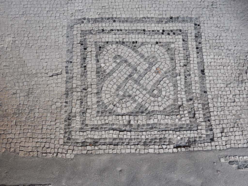 Villa San Marco, Stabiae, June 2019. Room 61, detail of mosaic in doorway. Photo courtesy of Buzz Ferebee.