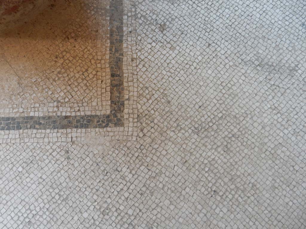 Villa San Marco, Stabiae, June 2019. Room 25, flooring. Photo courtesy of Buzz Ferebee