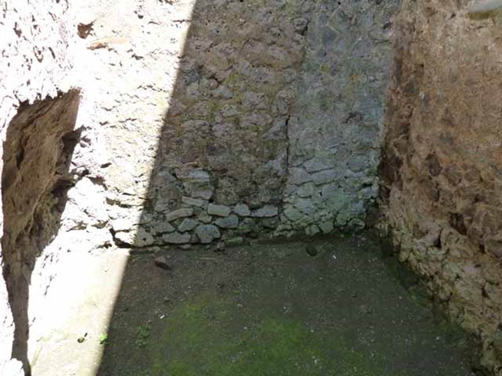 Villa of Mysteries, Pompeii. May 2010. Room 28, east wall.