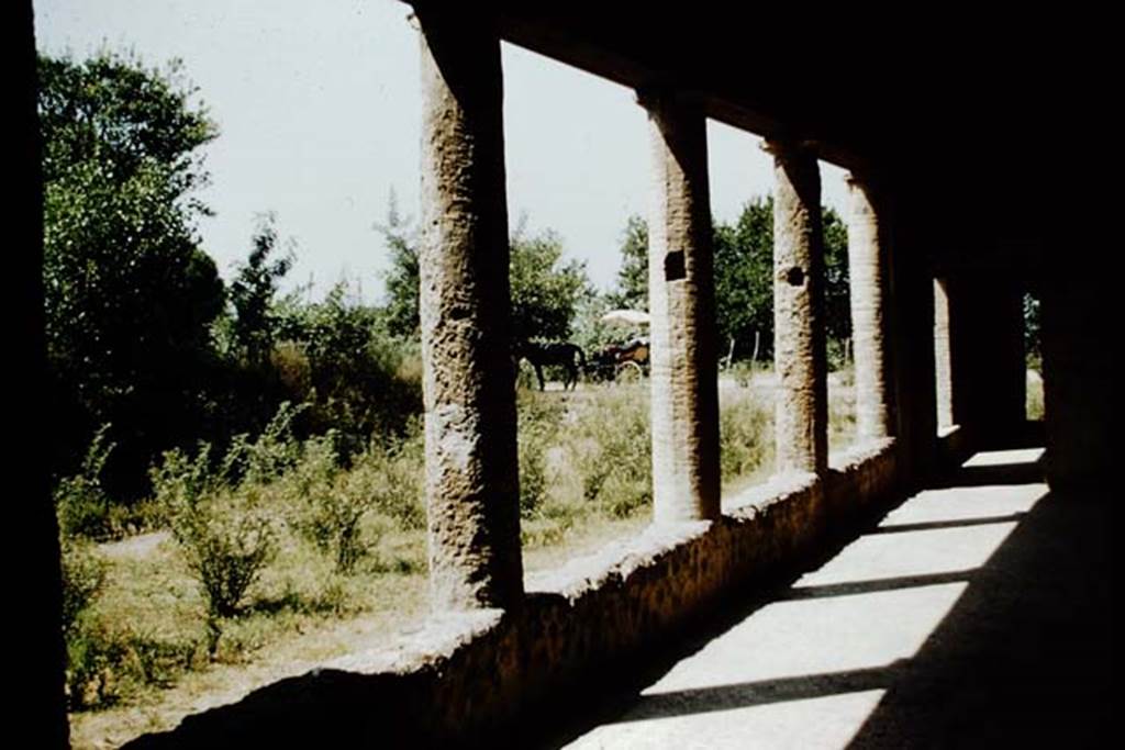 Villa of Mysteries, Pompeii. 1957. Portico P1, looking south-west to roadway, with waiting horse and carriage. Photo by Stanley A. Jashemski.
Source: The Wilhelmina and Stanley A. Jashemski archive in the University of Maryland Library, Special Collections (See collection page) and made available under the Creative Commons Attribution-Non Commercial License v.4. See Licence and use details.
J57f0369
