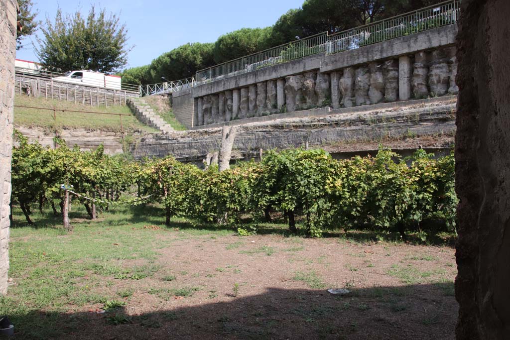 Villa Regina, Boscoreale. September 2021. Looking north from east side. Photo courtesy of Klaus Heese. 