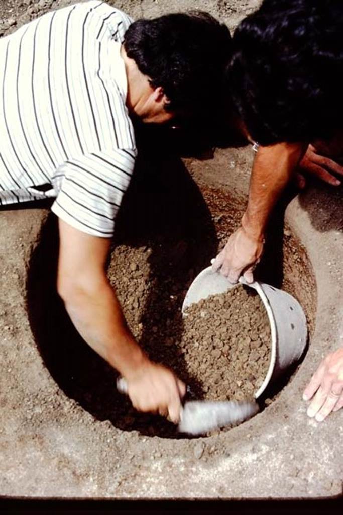 Villa Regina, Boscoreale. 1983. Emptying the well of the lapilli. 
Source: The Wilhelmina and Stanley A. Jashemski archive in the University of Maryland Library, Special Collections (See collection page) and made available under the Creative Commons Attribution-Non Commercial License v.4. See Licence and use details. J80f0621
